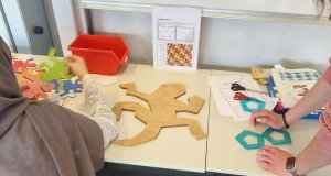 Wenn Mathematik lebendig wird|Exkursion ins…